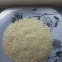 نیم دانه درجه یک دورود