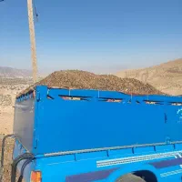 کود حیوانی گوسفندی تحویل سر زمین