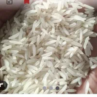 برنج فجر سوزنی