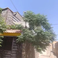 واحد-دربست