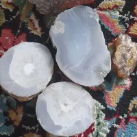 سنگ شجر