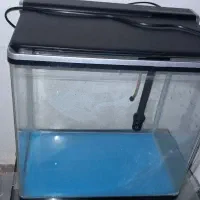 اکواریوم شیشه خم