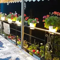 ویلا-و-سوئیت-جنگلی