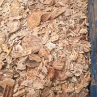 خریدفروش نان خشک نارویی ارسال به تمام ایران