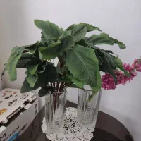 گل های مصنوعی ارکیده و.. ۱۵۰تومن