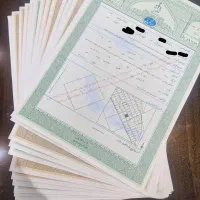 با ماهی9میلیون صاحب زمین شویدباسندتک‌برگ شاهین شهر