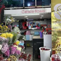 نیروی کار ماهر و نیمه ماهر