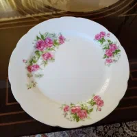5 عدد بشقاب پلوخوری گل سرخی ژاپن
