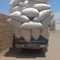 خار وکا ه گندم وپرس گندم