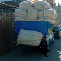 کاه گندم و جو