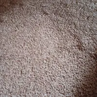 جو بزری|عمده‌فروشی|شیروان (خراسان), |دیوار