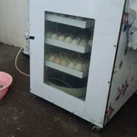 دستگاه جوجه کشی250تایی