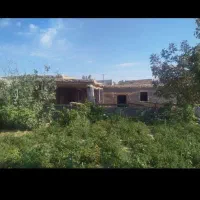 دامداری‌اجاره‌درروستای‌قلندراباد