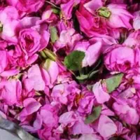 گلاب درجه یک