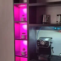 طراحی تخصصی فضای سبز