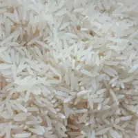 برنج فجر سوزنی