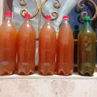آبغوره بهداشتی و تمیز