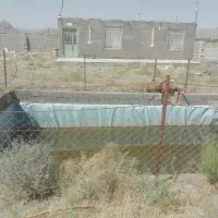 واگذاری یک واحد مزرعه پرورش شترمرغ