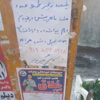 قطعه طلای پیدا شده
