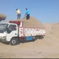 کاه درجه یک تمیز پاک شده امسال حراج