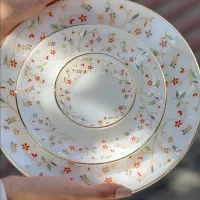 سرویس کامل ۱۲ نفره ارکوپال آمریکایی نو