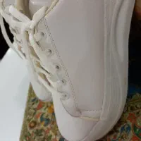 فروش کفش|کیف، کفش، کمربند|بندر امام خمینی, |دیوار