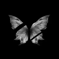 با هر دعوت ۸۰ تومن به جیب بزن  اگه  فقط پیام ه