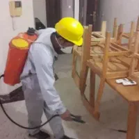 سم پاشی حشرات سوسک ساس کنه موریانه موش سمپاشی مگس