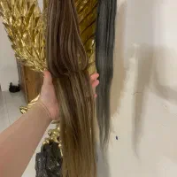 مو دم اسبی