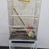 قفس بزرگ طوطی یا عروس