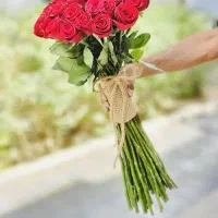 زر هلندی سوپر