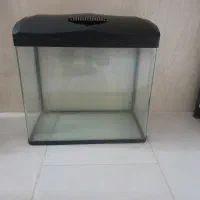 شیشه اکواریوم