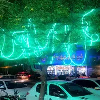 ال ای دی شلنگی ۵۰ متری|ریسه و چراغ تزئینی|نیشابور, شهرک فرهنگیان|دیوار