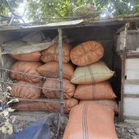 کاه خرد شده