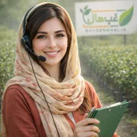 فروش نهال الو کالیفرنیا انگورموندراب با کود رایگان