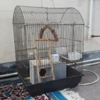 قفس|لوازم جانبی حیوانات|قم, دروازه ری|دیوار