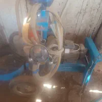 شیردوش کع نوع هست کارنکرده