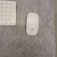 apple magic mouse 2