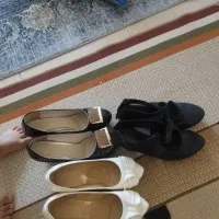 کفش مجلسی