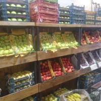 فروش فوری قفسه اسکلت چوبی زیرقیمت