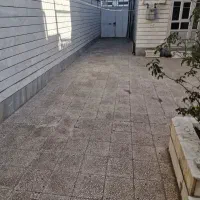 زیرزمین پرنور وگلخانه ای