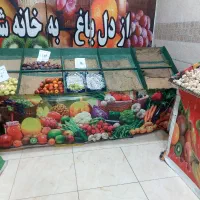 پالت میوه و ترازوی ۷۰ کیلویی محک فوری فوری فروشی