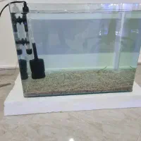 آکواریوم شیشه خم