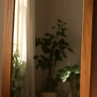 یک عدد آینه قدی