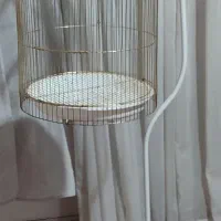 قفس پرنده