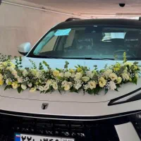 خدمات دیزاین