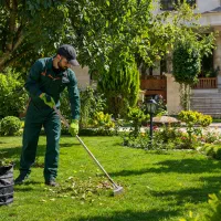 باغبانی ‌و محافظت از باغ ویلا در ده بالا و طزرجان