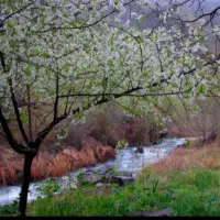 دولت آباد طبیعت گردی