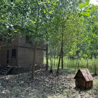 لمس زندگی رویایی
