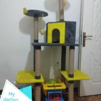 اسکرچر گربه، خونه گربه